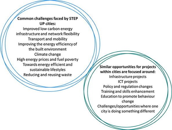 Key Findings